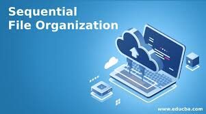 what is COBOL – File Organization?