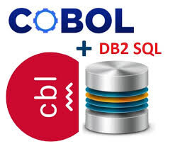 Differentiation of COBOL – Database Interface